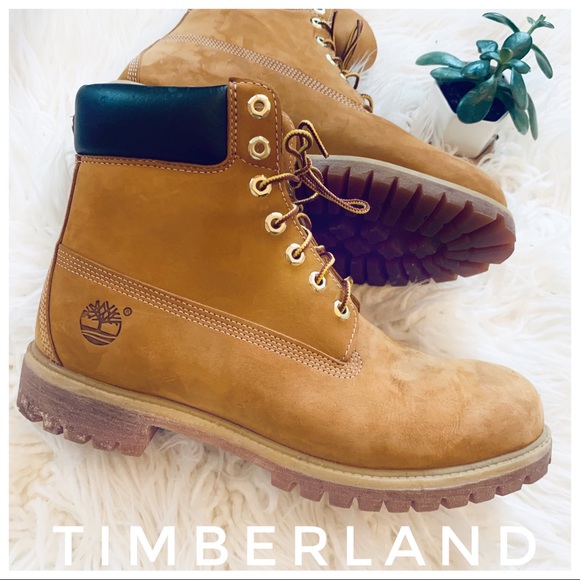 Timberland Other - TIMBERLAND Boots Sz 11.5 excellent condition